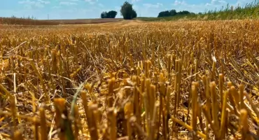 Pożar ścierniska pod Galewicami. Strażacy apelują o ostrożność
