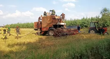 Pożar kombajnu w Radoszewicach. Zagrożony był pobliski las