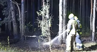 Nocny pożar postawił na nogi strażaków w gminie Konopnica. Ogień pojawił się w lesie