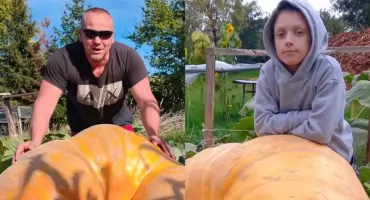 Gigantyczne dynie z Lututowa. Marek Pawlak z synem Adasiem i ich ogrodowe okazy