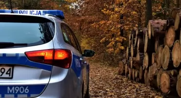 Kolejne zdarzenie z udziałem dzikich zwierząt - kierowca Volkswagena uderzył w wilczycę