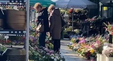 Ceny zniczy i kwiatów w Wieluniu, Działoszynie, Pajęcznie 